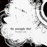 PINEAPPLE THIEF PINEAPPLE THIEF