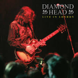 DIAMOND HEAD