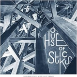 THORBJORN RISAGER & BLACK TORNADO