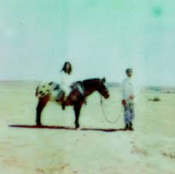 ALLIGATOR LADIES ALLIGATOR LADIES