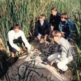 CHILDREN OF THE MUSHROOM