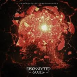 DISCONNECTED SOULS