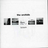 ORCHIDS