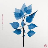 BERNINGER MATT BERNINGER MATT