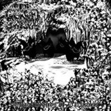 DEATHSWARM