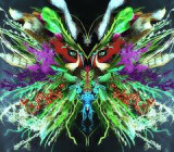 MERZBOW