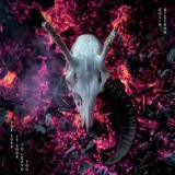 STETSON COLIN STETSON COLIN