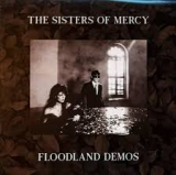 SISTERS OF MERCY SISTERS OF MERCY