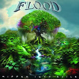 FLOOD
