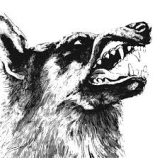 CRIPPLED BLACK PHOENIX