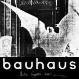 BAUHAUS