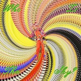 BYRNE DAVID BYRNE DAVID