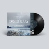 GRAY DAVID GRAY DAVID