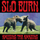 SLO BURN