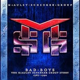 MCAULEY SCHENKER GROUP MCAULEY SCHENKER GROUP