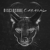 DISCLOSURE