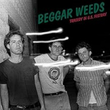 BEGGAR WEEDS