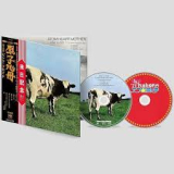 PINK FLOYD PINK FLOYD