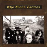 BLACK CROWES