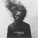 BLINDEAD 23