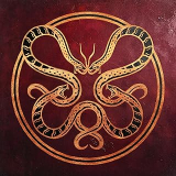 VICIOUS RAIN VICIOUS RAIN