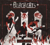 BLACK CATS