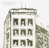 PINEAPPLE THIEF PINEAPPLE THIEF
