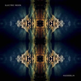 ELECTRIC MOON