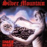 SILVER MOUNTAIN