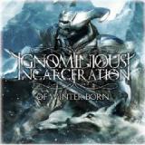 IGNOMINIOUS INCARCERATION IGNOMINIOUS INCARCERATION