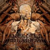 INFECTED DISARRAY INFECTED DISARRAY