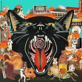 FANTASTIC CAT