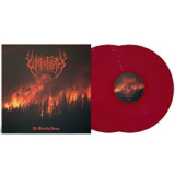 WINTERFYLLETH