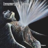 INNUMERABLE FORMS INNUMERABLE FORMS