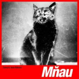 DUNAJ & JANA VEBROVA