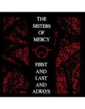 SISTERS OF MERCY