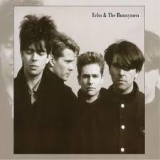 ECHO & THE BUNNYMEN ECHO & THE BUNNYMEN