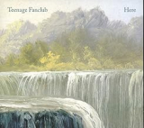 TEENAGE FANCLUB TEENAGE FANCLUB