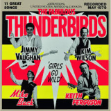 FABULOUS THUNDERBIRDS FABULOUS THUNDERBIRDS