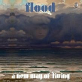 FLOOD FLOOD