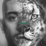 ZAYN