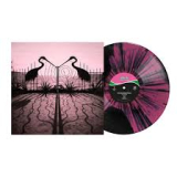 AFGHAN WHIGS