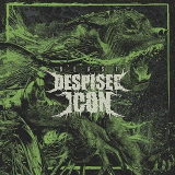 DESPISED ICON