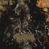 TERATOMA TERATOMA