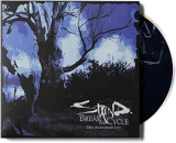 STAIND STAIND