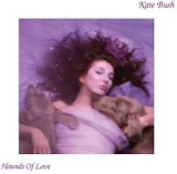 BUSH KATE BUSH KATE