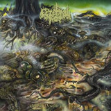 CEREBRAL ROT