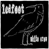 LEDFOOT LEDFOOT