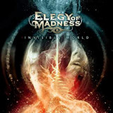 ELEGY OF MADNESS