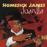 HOMESICK JAMES
